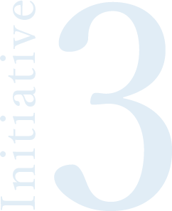 initiative 3