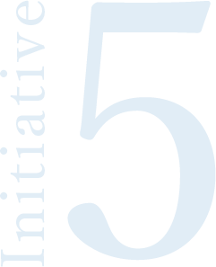 initiative 5